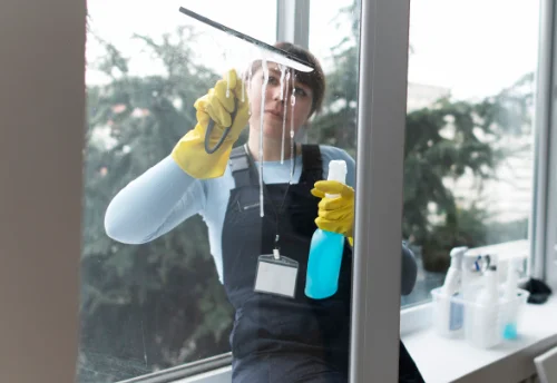 Nettoyage de vitres intérieures et extérieures à Nanton